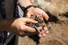 Ученые обнаружили уникальные останки древних пещерных медведей на Кавказе