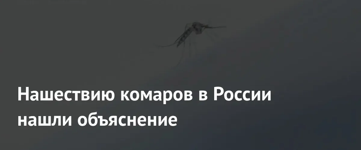 Ученые объяснили причины массового нашествия комаров в сибирских регионах России