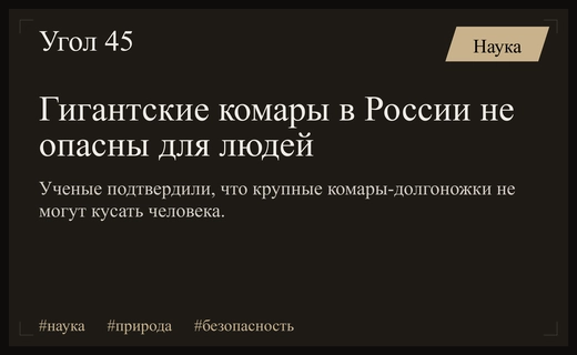 Ученые МГУ развеяли мифы об опасности гигантских комаров в России