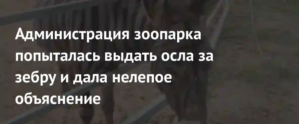 Администрация зоопарка попыталась выдать осла за зебру и дала нелепое объяснение