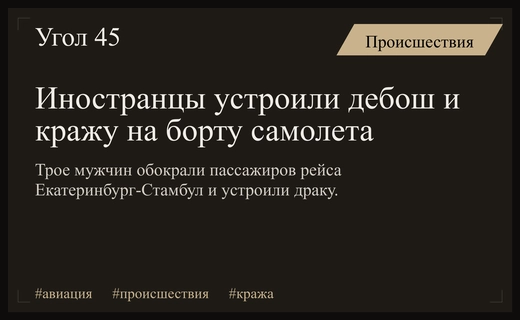 Дебош и кража на рейсе Екатеринбург-Стамбул: иностранцы обокрали пассажиров самолета