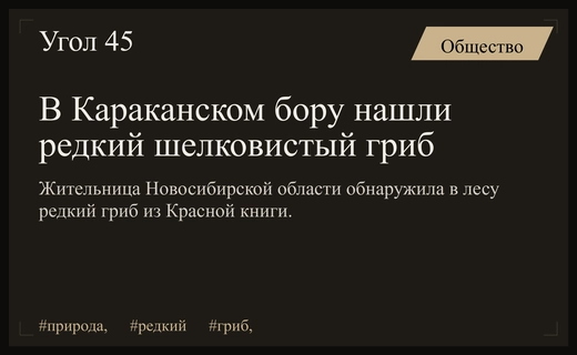 Редкая находка в Караканском бору: россиянка обнаружила уникальный шелковистый гриб