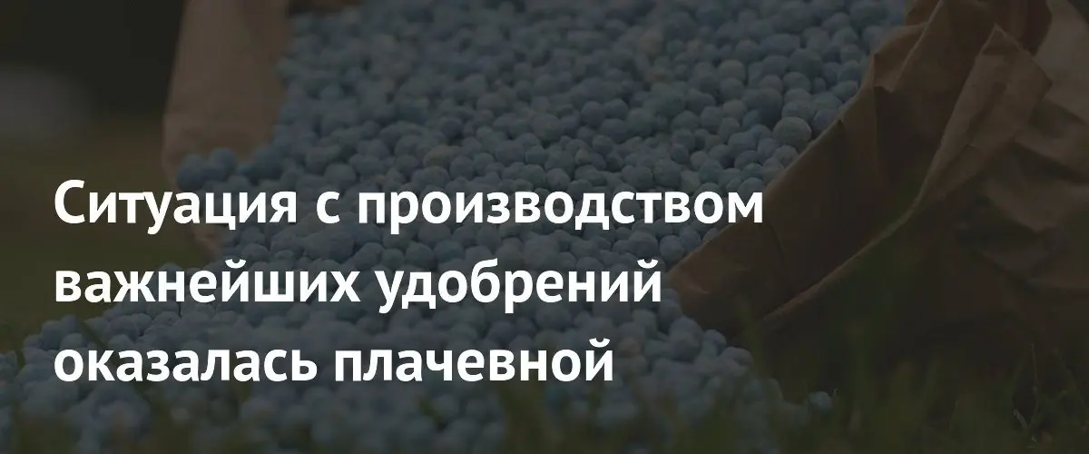 Дефицит фосфатных удобрений из-за конфликта на Ближнем Востоке грозит мировому голоду