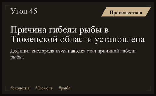 Дефицит кислорода из-за паводка стал причиной массовой гибели рыбы в Тюменской области