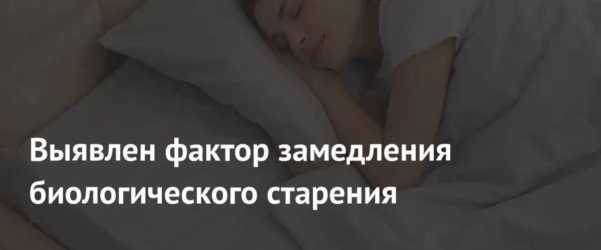 Регулярный режим сна и активности замедляет биологическое старение организма человека