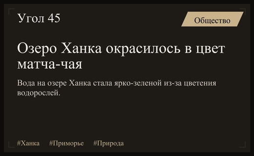 Зеленое море на озере Ханка: необычное цветение воды поразило жителей Приморья