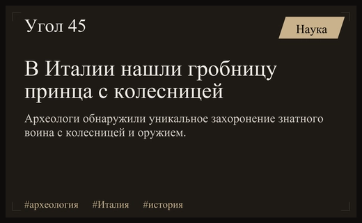 Великое открытие в Италии: обнаружена роскошная гробница древнего принца с колесницей