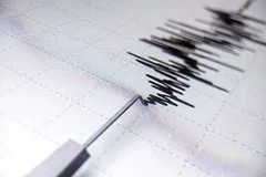 Землетрясение магнитудой 4,8 произошло у восточного побережья Камчатки