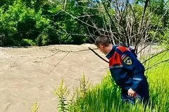 Семья пропавшей на Ставрополье студентки назначила крупную награду за информацию