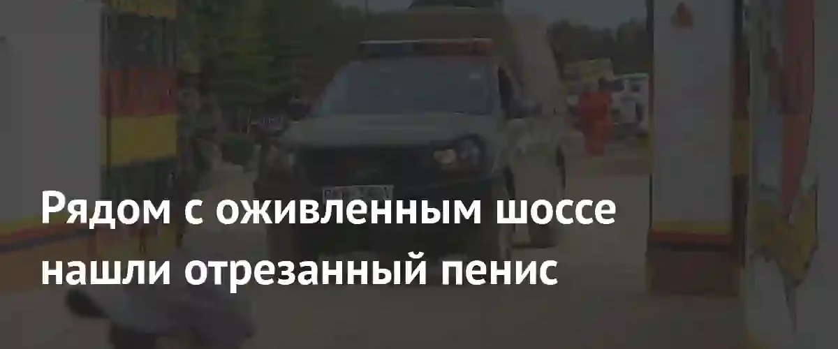 В Кении на оживленном шоссе Найроби — Момбаса обнаружен отрезанный половой орган