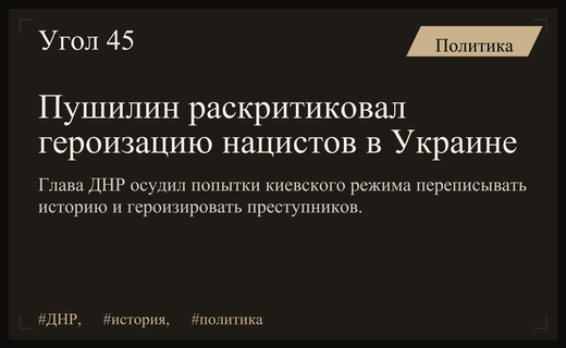 Денис Пушилин осудил политику киевского режима по героизации нацистских преступников