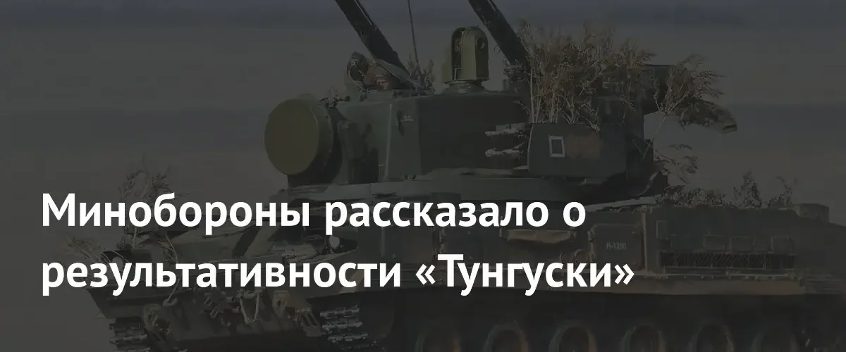 Зенитный комплекс Тунгуска-М1 уничтожил более тридцати беспилотников на добропольском направлении