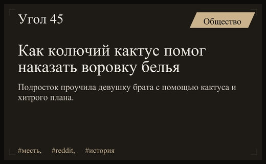 Необычная месть подростка: как кактус помог остановить странную кражу белья