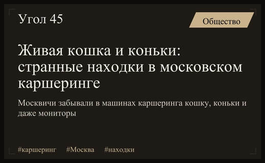 Необычные находки в московском каршеринге: от зимних коньков до живой кошки