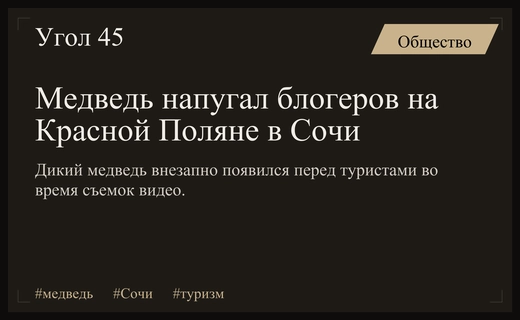 Неожиданная встреча с диким медведем на туристических тропах Красной Поляны