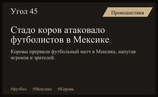 Неожиданный гость на поле: стадо коров прервало футбольный матч в Мексике