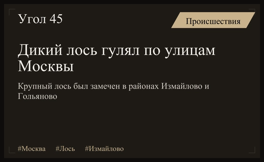 Неожиданный гость в столице: лось устроил прогулку по улицам Измайлово и Гольяново