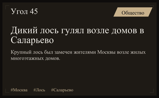 Неожиданный визит дикого лося в жилой район Москвы у метро Саларьево