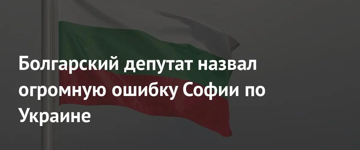 Депутат болгарского парламента назвал поставки оружия Украине стратегической ошибкой Софии