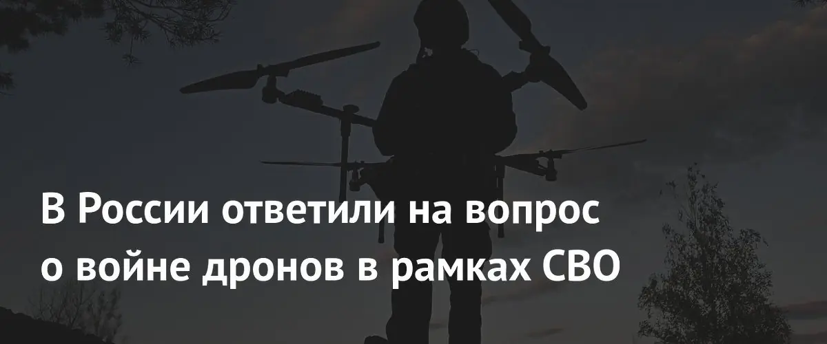 Депутат Госдумы Колесник назвал войну беспилотников единым пространством боевых действий