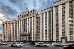 Депутат Госдумы высмеял литовские спецслужбы за принятие птиц за дрон