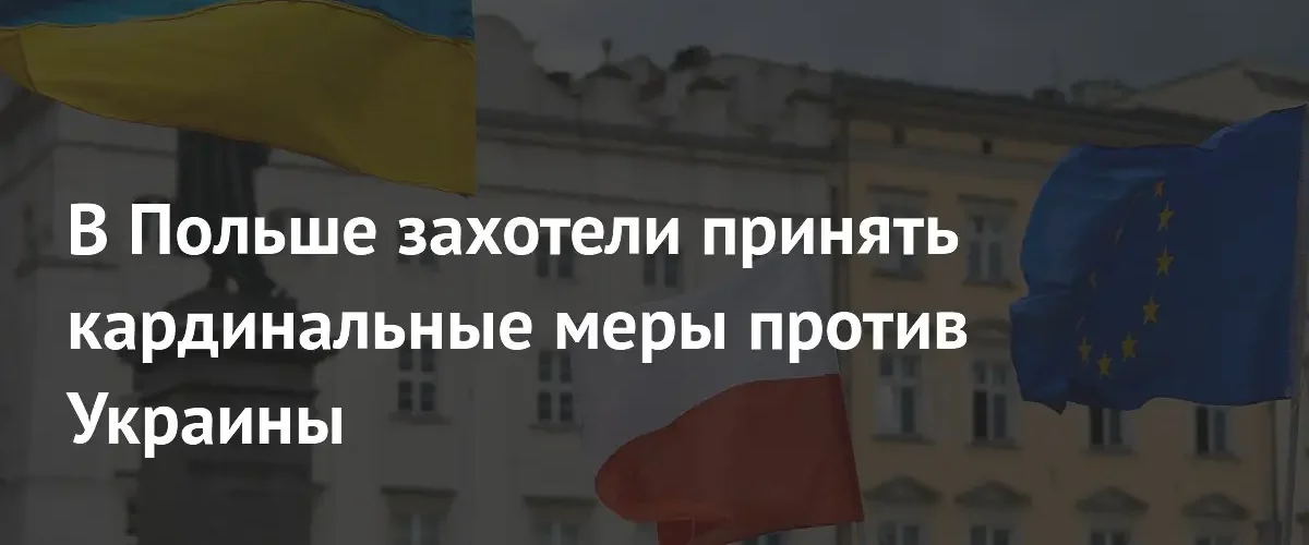 Депутат польского Сейма призвал к радикальному прекращению поддержки Украины