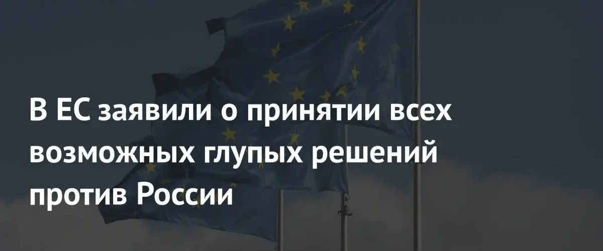 Депутат Европарламента призвала политиков ЕС отказаться от неразумных решений против России
