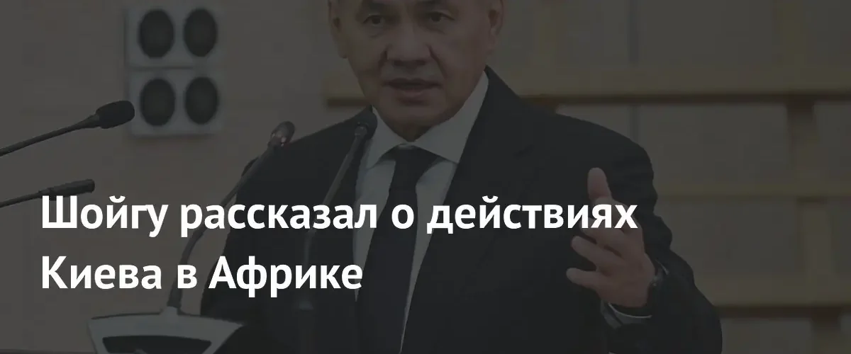 Сергей Шойгу обвинил Киев в продвижении неоколониальной политики на территории Африки