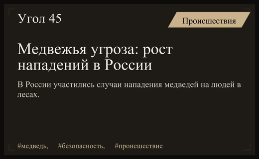 Серия нападений медведей в России: экстренные меры МЧС и расследования прокуратуры