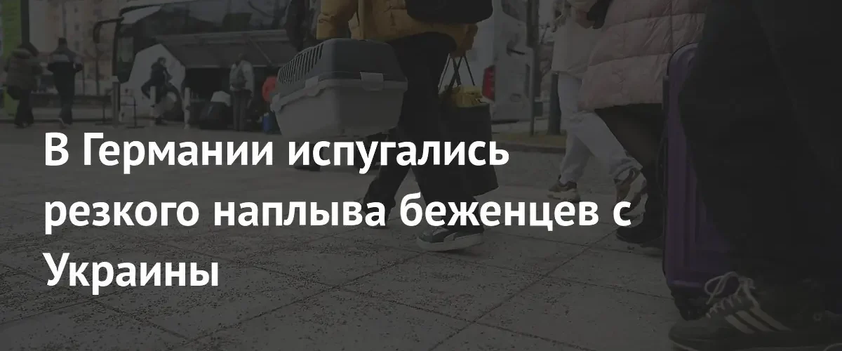 Германия опасается резкого роста числа нелегальных мигрантов из Украины