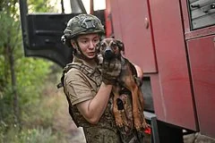 Верные друзья на передовой: как собаки спасают российских бойцов СВО
