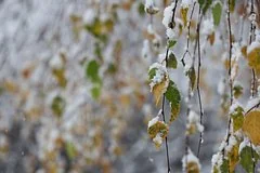 Первые осенние заморозки на Чукотке и приближение холодов в Подмосковье