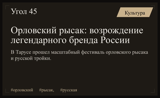 Фестиваль орловского рысака в Тарусе: возрождение национального бренда и традиций