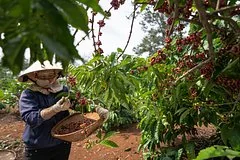 Вьетнам и Россия укрепляют торговые связи с целью роста товарооборота
