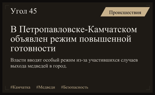 В Петропавловске-Камчатском введен режим повышенной готовности из-за активности медведей
