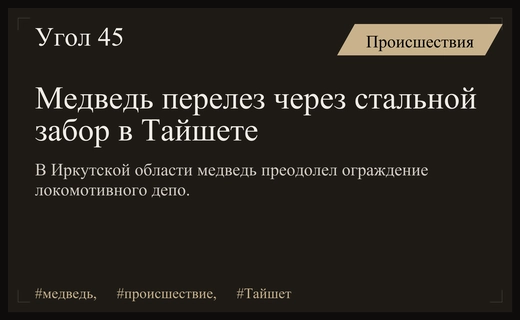 Невероятное видео: медведь-паркурщик преодолел стальной забор локомотивного депо в Тайшете