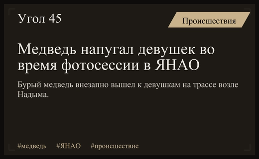 Нежданный гость на трассе: бурый медведь прервал фотосессию девушек в ЯНАО