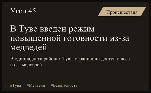 Режим повышенной готовности введен в одиннадцати районах Тувы из-за медведей