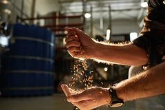 Резкое сокращение географии экспорта российской пшеницы в августе текущего года