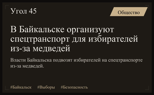 Безопасность превыше всего: в Байкальске организуют спецтранспорт для избирателей из-за медведей