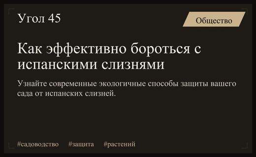 Эффективные методы борьбы с испанскими улитками без использования опасной химии