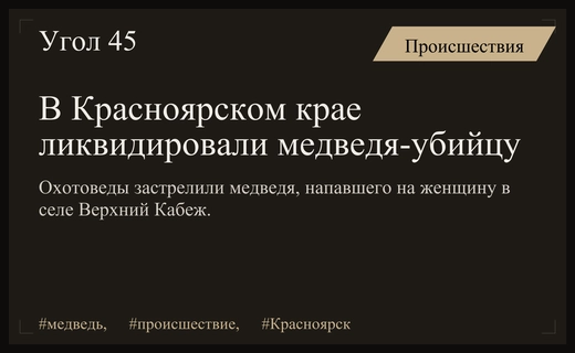 Агрессивный медведь, убивший женщину в Красноярском крае, был ликвидирован специалистами