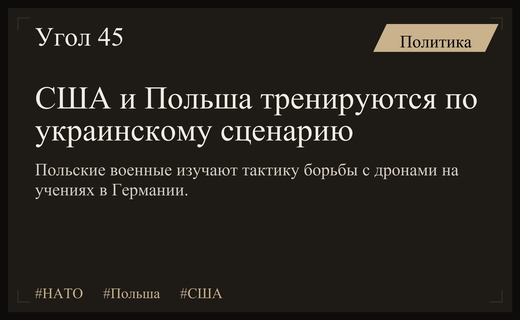 США и Польша оттачивают навыки борьбы с дронами на основе украинского опыта