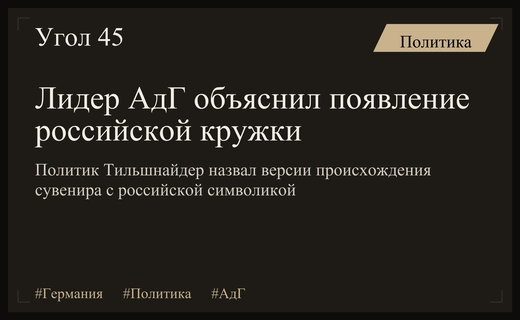 Лидер АдГ Ханс-Томас Тильшнайдер прояснил происхождение сувенира с российской символикой