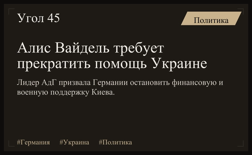 Лидер партии АдГ Алис Вайдель призвала полностью прекратить военную помощь Украине