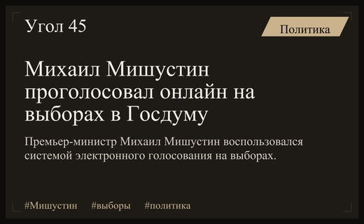 Михаил Мишустин принял участие в дистанционном электронном голосовании на выборах Госдумы