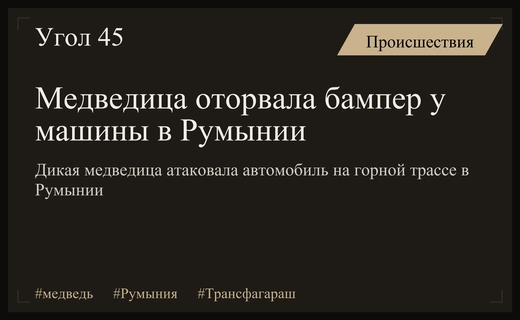 Дикая медведица атаковала автомобиль на знаменитой румынской трассе Трансфагараш
