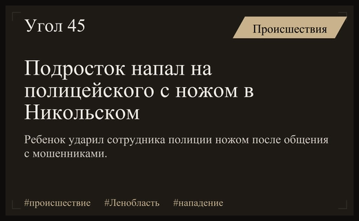 В Никольском несовершеннолетний подросток напал на сотрудника полиции с ножом