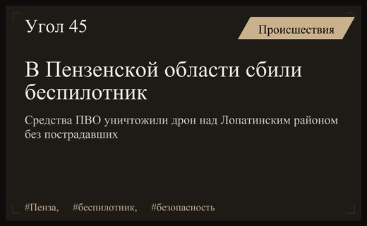 Силы противовоздушной обороны успешно уничтожили беспилотник в Пензенской области