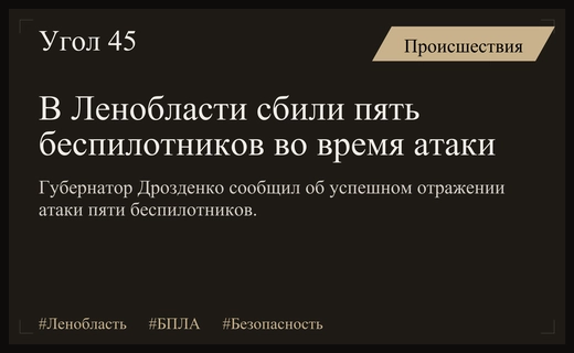 Силы ПВО успешно отразили массированную атаку беспилотников над Ленинградской областью
